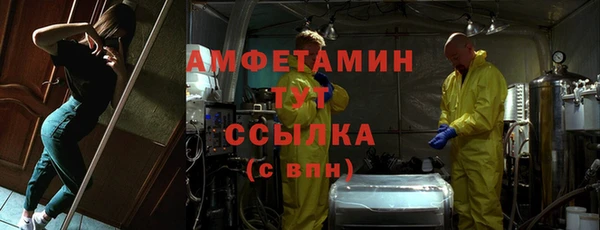 шишки Апатиты