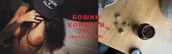 дурь Нея