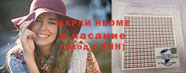 крисы Анива