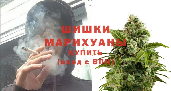 дурь Нея