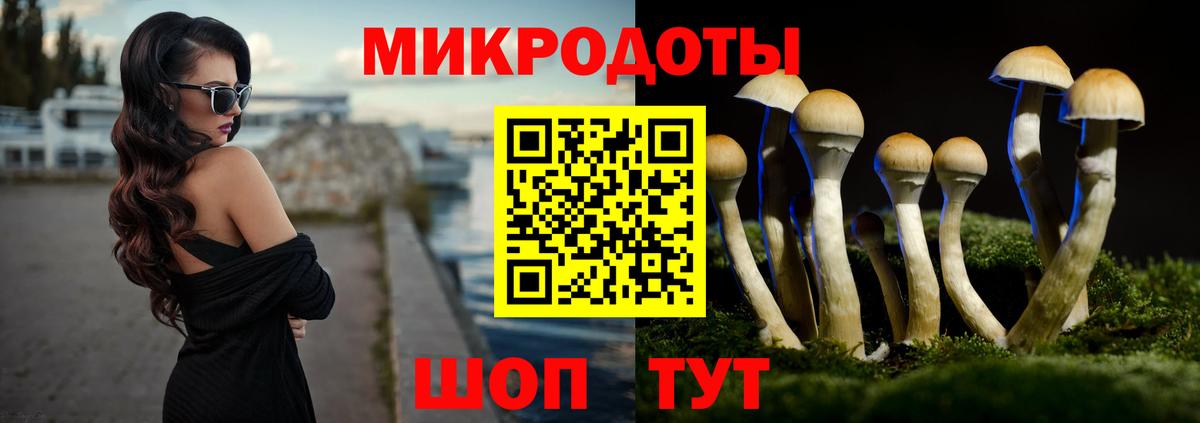 Вязьма  Галлюциногенные грибы Psilocybine cubensis  Вход с VPN 